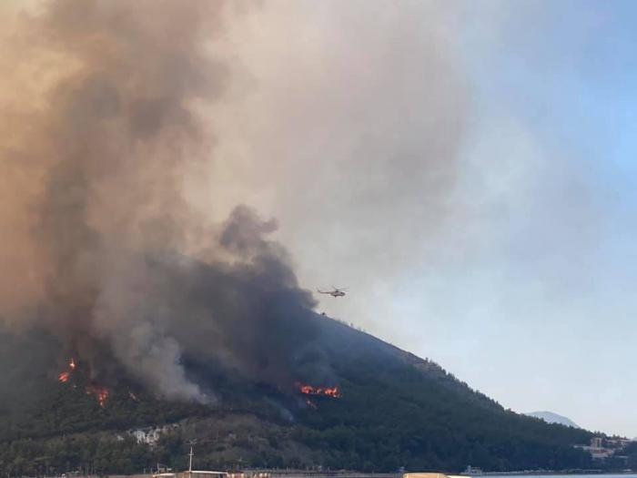 В Турции заявили о локализации почти всех очагов лесных пожаров