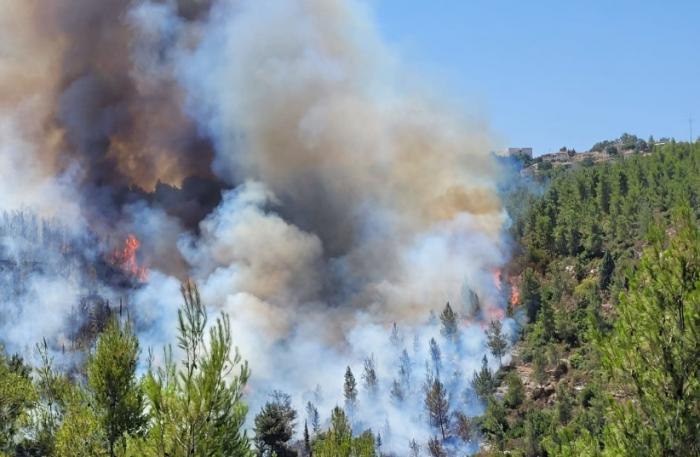 В Израиле вблизи Иерусалима разбушевался лесной пожар. Для его ликвидации привлекли 12 самолетов