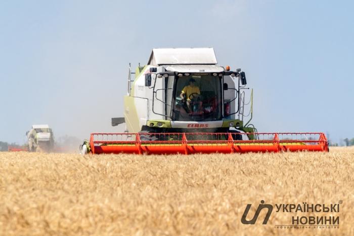 В Украине ожидается рекордный урожай пшеницы