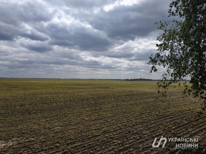В Украине выдали первый кредит для покупки сельхозземли