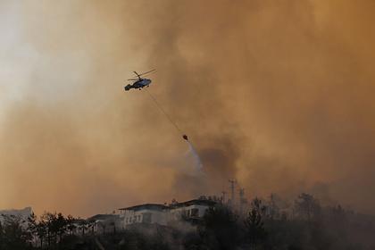Эрдоган сравнил лесные пожары с терроризмом и пандемией коронавируса
