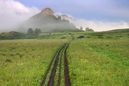 В Алтайском крае запустят новый маршрут экотура по Тигирекскому заповеднику