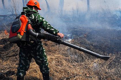 В Приморье полностью потушили лесные пожары