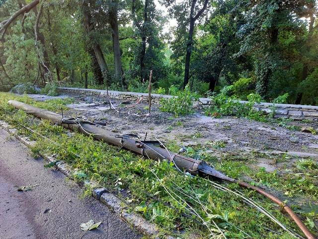 В Камянце-Подольском ураган сносил крыши и вырывал деревья из земли. Есть видео непогоды
