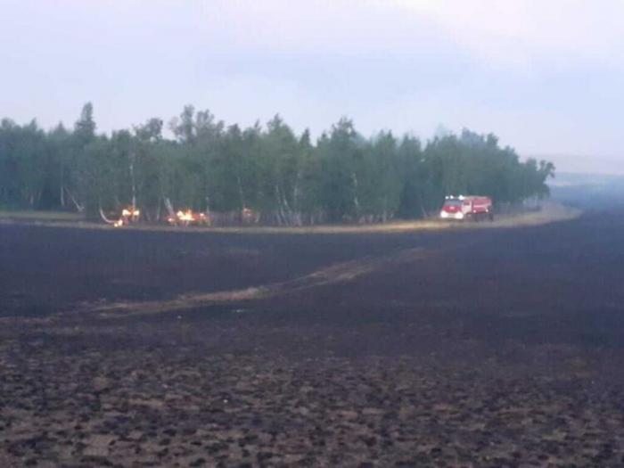 Крупный пожар в Акмолинской области: огонь охватил 40 гектаров площади лесхоза