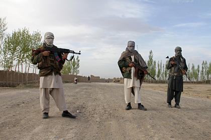 Талибы убили еще одного журналиста в Афганистане