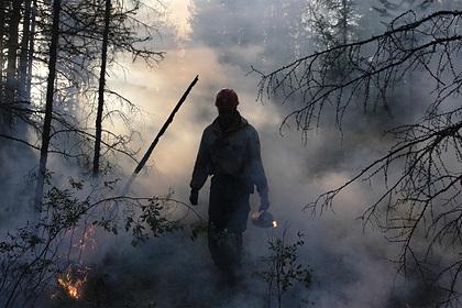 Путин поручил усилить группировку для тушения пожаров в Якутии