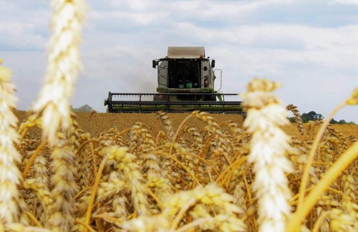 Агропромышленный комплекс стал самым прибыльным в украинской экономике в 2020, – Институт аграрной экономики