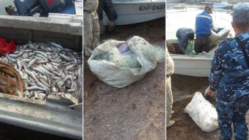 Четырех браконьеров с рыбой задержали в Карагандинской области