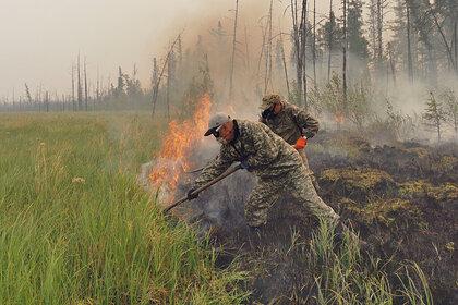 Дым от лесных пожаров в Якутии дойдет до Москвы