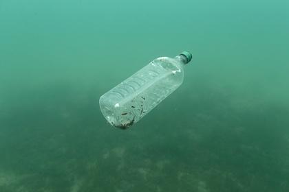 Пластик в океане создал новую экосистему