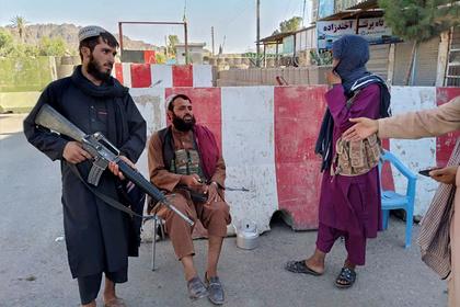 Талибы захватили столицу расположенной около Кабула провинции Логар
