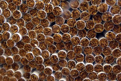 ФСБ изъяла крупнейшую контрабанду сигарет в 40 тонн
