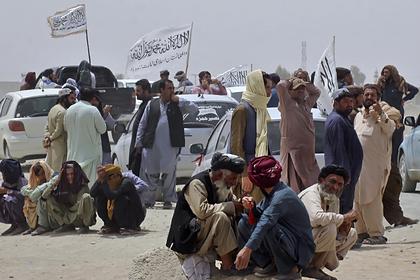 Политолог предсказал всплеск исламизма по всему миру из-за победы талибов