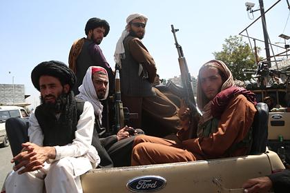 Бельгийский профессор назвал условие сотрудничества Запада с талибами
