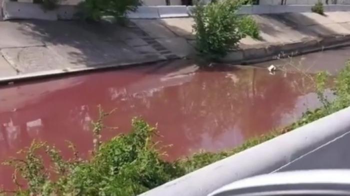 Красная вода в Большой Алматинке удивила горожан
                19 августа 2021, 15:42