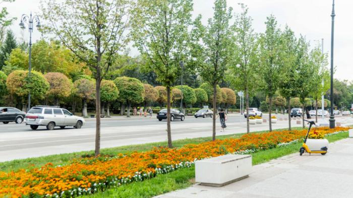 В акимате Алматы объяснили, почему в жару не поливали деревья
                19 августа 2021, 18:50