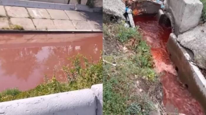 Это катастрофа: алматинцы испугались красной воды в реке города