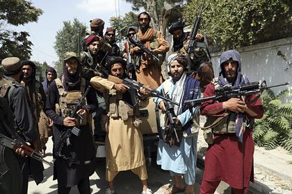 Названы главные источники дохода «Талибана»