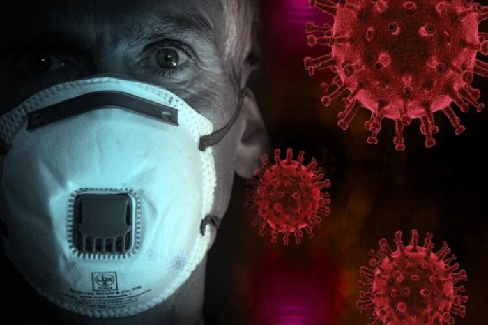 Как коронавирус распространяется по организму, показали ученые