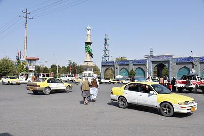 Афганцы придумали необычный способ официально пересечь границу Узбекистана