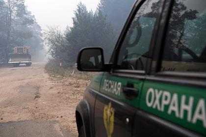 Десятки человек в российском регионе эвакуируют из-за лесного пожара