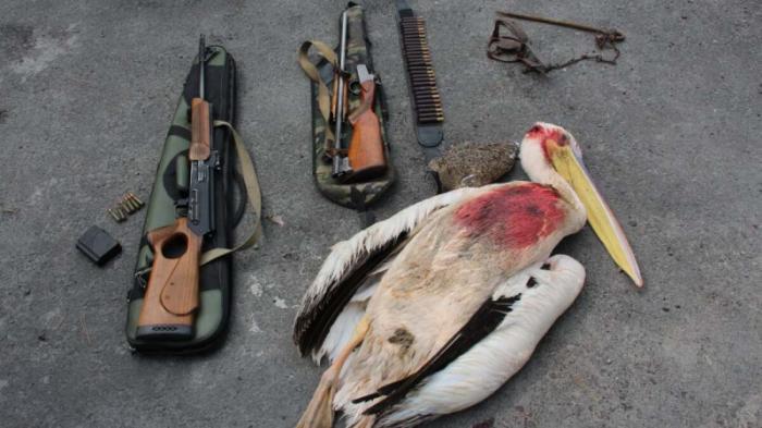 Браконьер убил краснокнижного пеликана в Алматинской области
                23 августа 2021, 04:58
