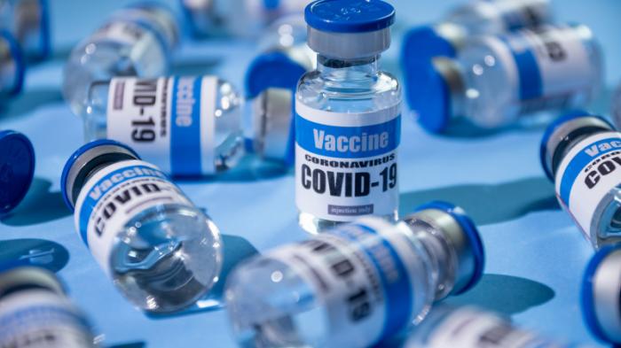 Первую в мире ДНК-вакцину от коронавируса одобрили в Индии
                23 августа 2021, 12:23
