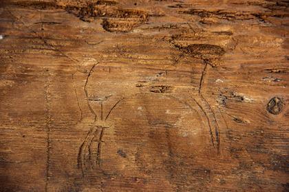 В Хакасии обнаружили рисунок пронзенного стрелой копытного