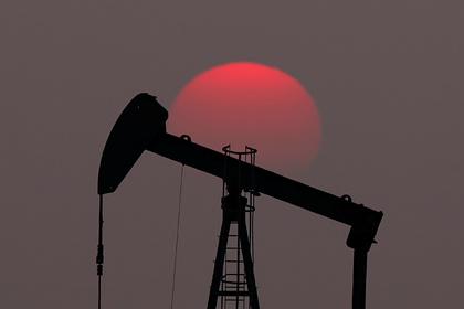 Цены на нефть начали резко расти