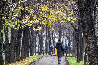 Метеоролог РАН предрек россиянам осенью и зимой аномальную погоду