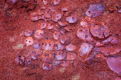 Археологи раскопали в Карелии «янтарную» могилу древнего богача