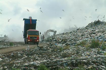 В российском городе приготовились ввести режим ЧС из-за мусора