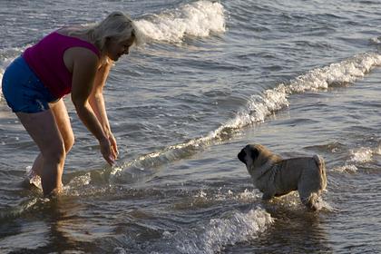 Роспотребнадзор рекомендовал запретить купание в двух популярных пляжных городах