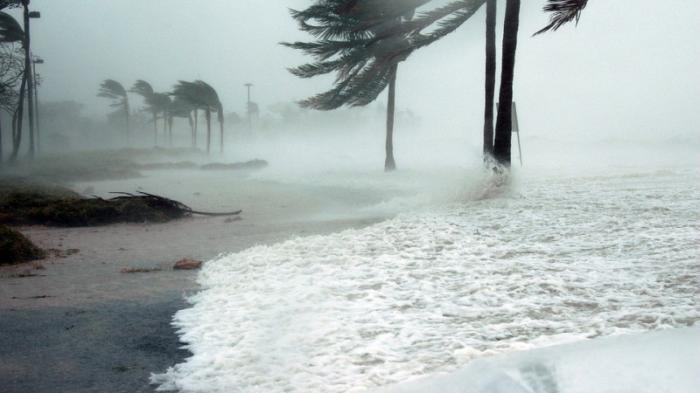 Сильнейший ураган в истории ожидают в США
                29 августа 2021, 06:32