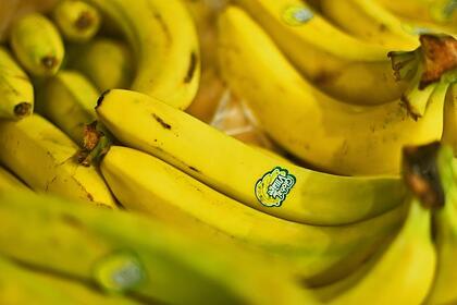 Диетолог рассказал о пользе и вреде бананов
