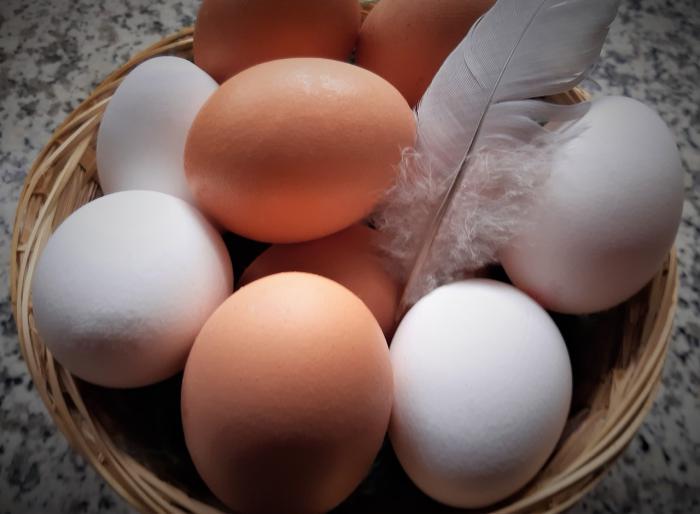 В июле экспорт яиц и яичных продуктов уменьшился на 50%, импорт — на 15%
