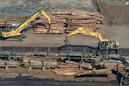 В России отказались от идеи госкомпании по вывозу леса