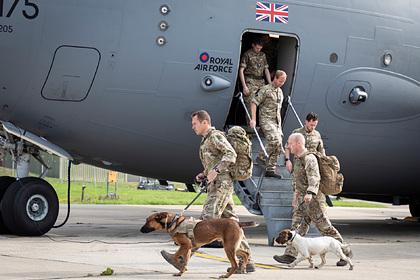 Британия вывезла служебных собак из Афганистана