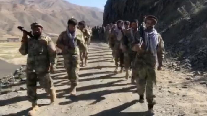 Защитники Панджшера заявили о крупном разгроме талибов: 