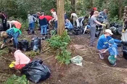 Российские экоактивисты провели уборку мусора в Смоленске