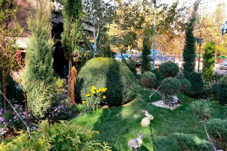 В Алматы выберут самый зелёный двор