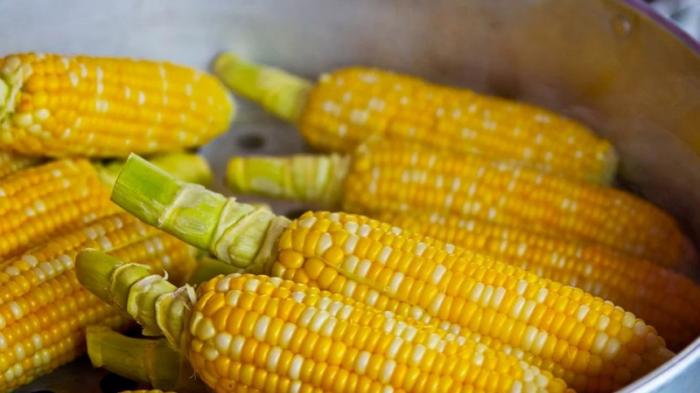 Врач посоветовала есть кукурузу для улучшения здоровья
                07 сентября 2021, 07:32