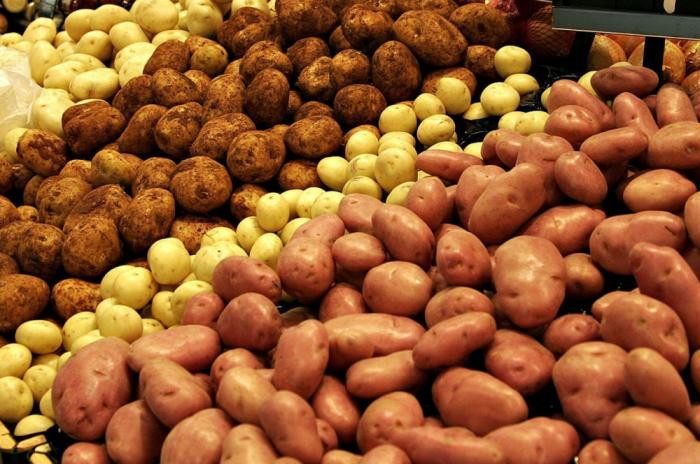 УКАБ прогнозирует рост производства картофеля на 7% в 2021