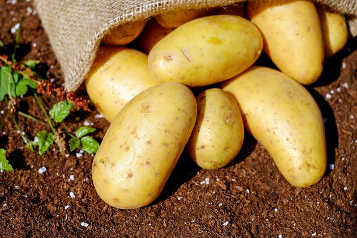 В начале осени производители снизили цены на картофель на 14%