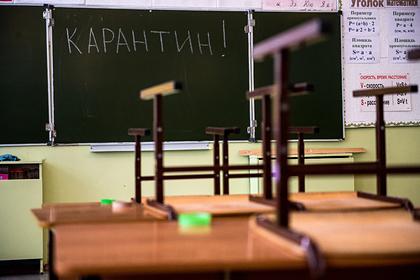 Классы почти 20 школ в российском регионе ушли на карантин из-за коронавируса