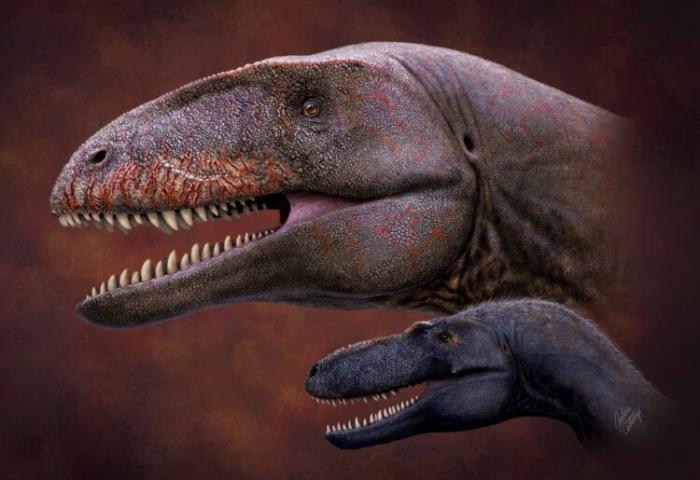 В Узбекистане нашли останки нового вида динозавра. Его назвали Улугбегзавр Узбекистаненсис
