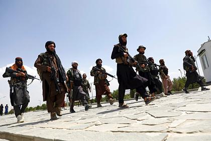 Талибы разорвали отношения с террористами ради дружбы с Китаем