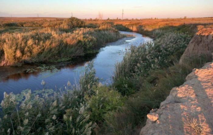 Человек погиб после падения автомобиля в реку в Актюбинской области