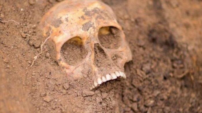 В Караганде нашли скелет мужчины